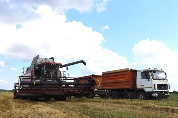 Уборочная кампания в КСУП «Совбел 2016» выходит на активную фазу!